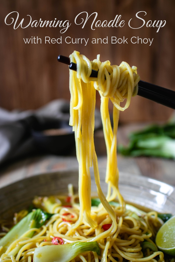 Vegan curry noodle soup with bok choy