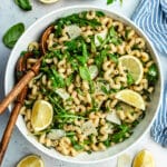 The pasta salad in the salad bowl topped with fresh basil and lemon slices.