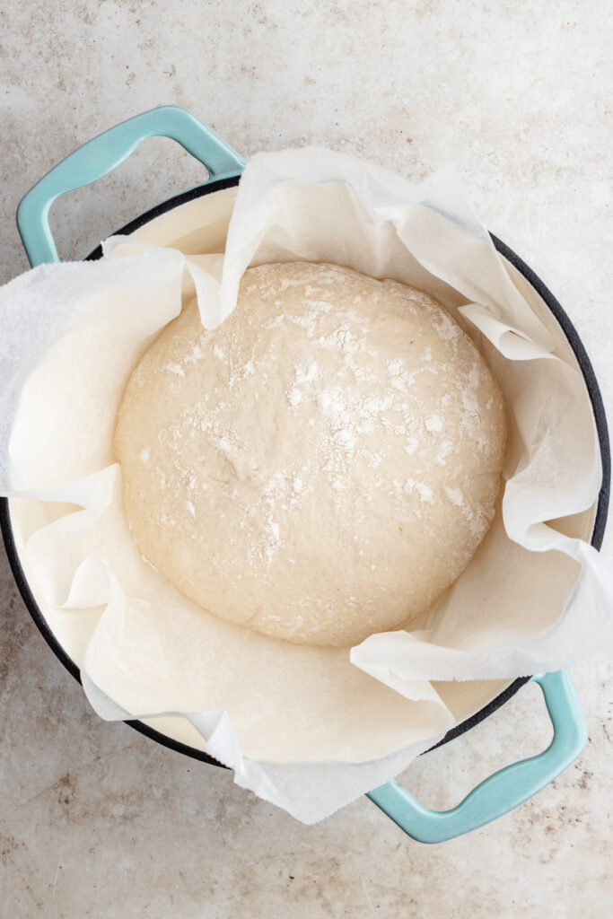 The bread in the Dutch oven pot on a pies of parchment paper.